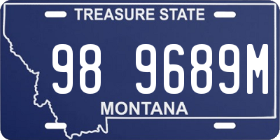 MT license plate 989689M