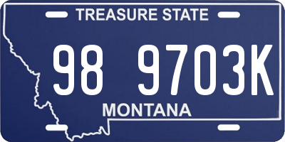 MT license plate 989703K