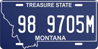MT license plate 989705M