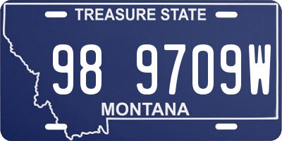 MT license plate 989709W