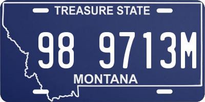 MT license plate 989713M