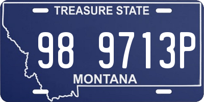 MT license plate 989713P