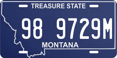 MT license plate 989729M