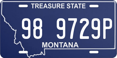 MT license plate 989729P