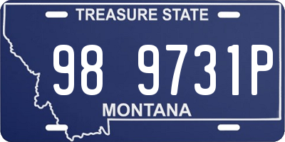 MT license plate 989731P