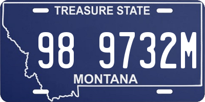 MT license plate 989732M