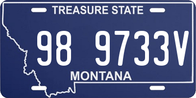 MT license plate 989733V