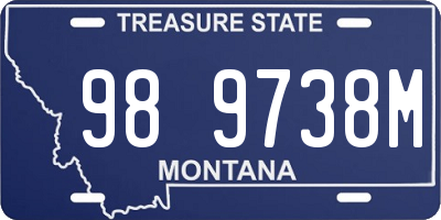 MT license plate 989738M