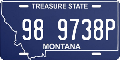 MT license plate 989738P