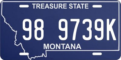 MT license plate 989739K