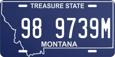 MT license plate 989739M