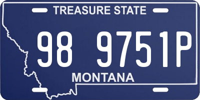MT license plate 989751P
