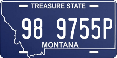 MT license plate 989755P