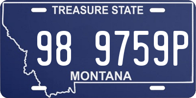 MT license plate 989759P