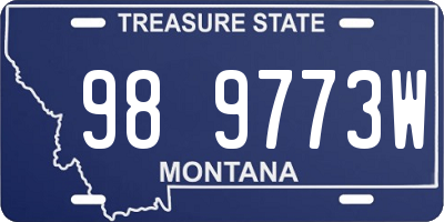 MT license plate 989773W