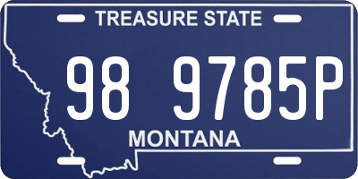 MT license plate 989785P
