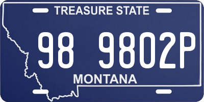MT license plate 989802P