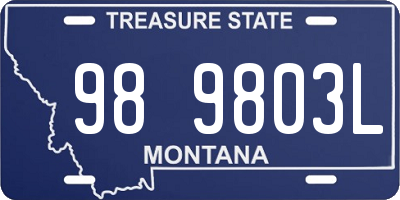 MT license plate 989803L