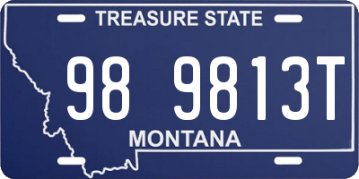 MT license plate 989813T