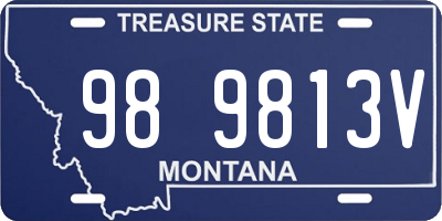 MT license plate 989813V