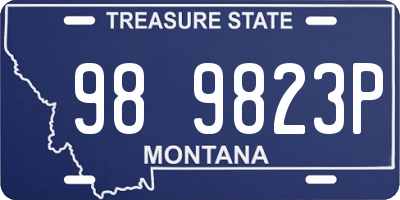 MT license plate 989823P