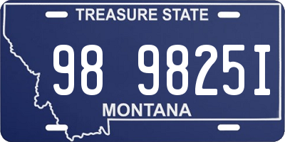 MT license plate 989825I