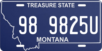 MT license plate 989825U