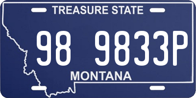 MT license plate 989833P