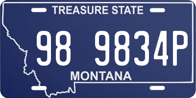 MT license plate 989834P