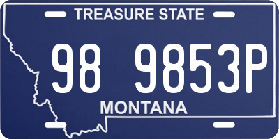 MT license plate 989853P