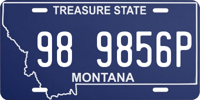 MT license plate 989856P