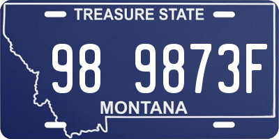 MT license plate 989873F