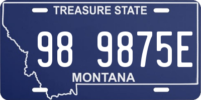 MT license plate 989875E