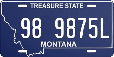 MT license plate 989875L