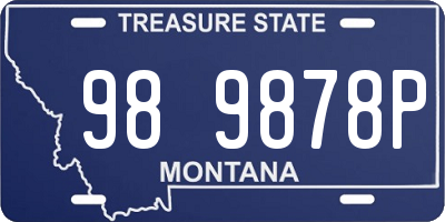 MT license plate 989878P