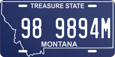 MT license plate 989894M