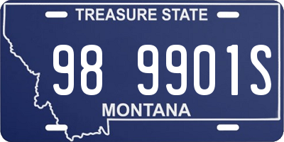 MT license plate 989901S