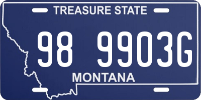 MT license plate 989903G