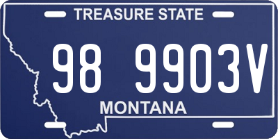 MT license plate 989903V