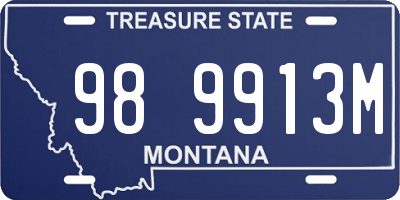 MT license plate 989913M