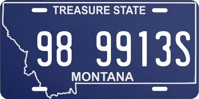 MT license plate 989913S