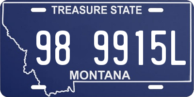 MT license plate 989915L