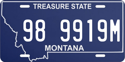 MT license plate 989919M