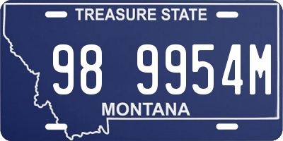 MT license plate 989954M