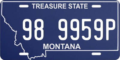 MT license plate 989959P