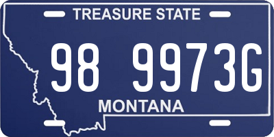 MT license plate 989973G