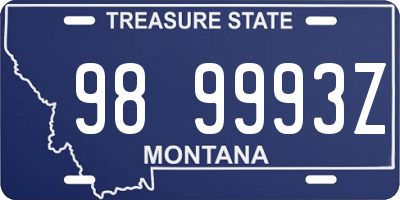 MT license plate 989993Z