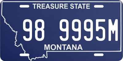MT license plate 989995M