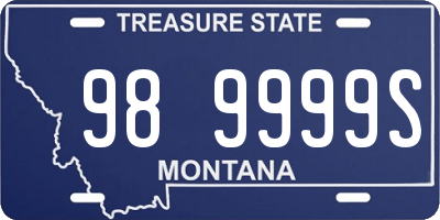 MT license plate 989999S