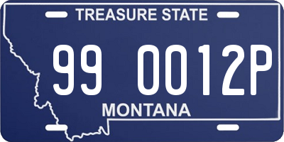 MT license plate 990012P